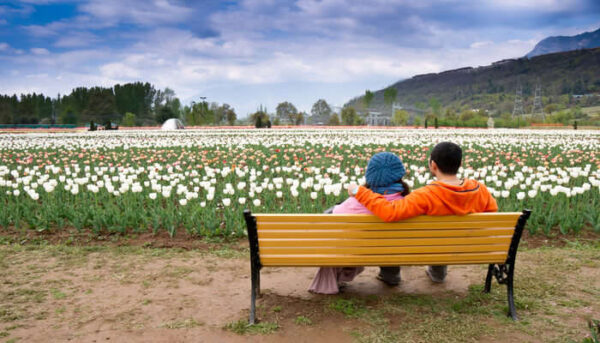 Couples on shikara at the Dal Lake in Srinagar